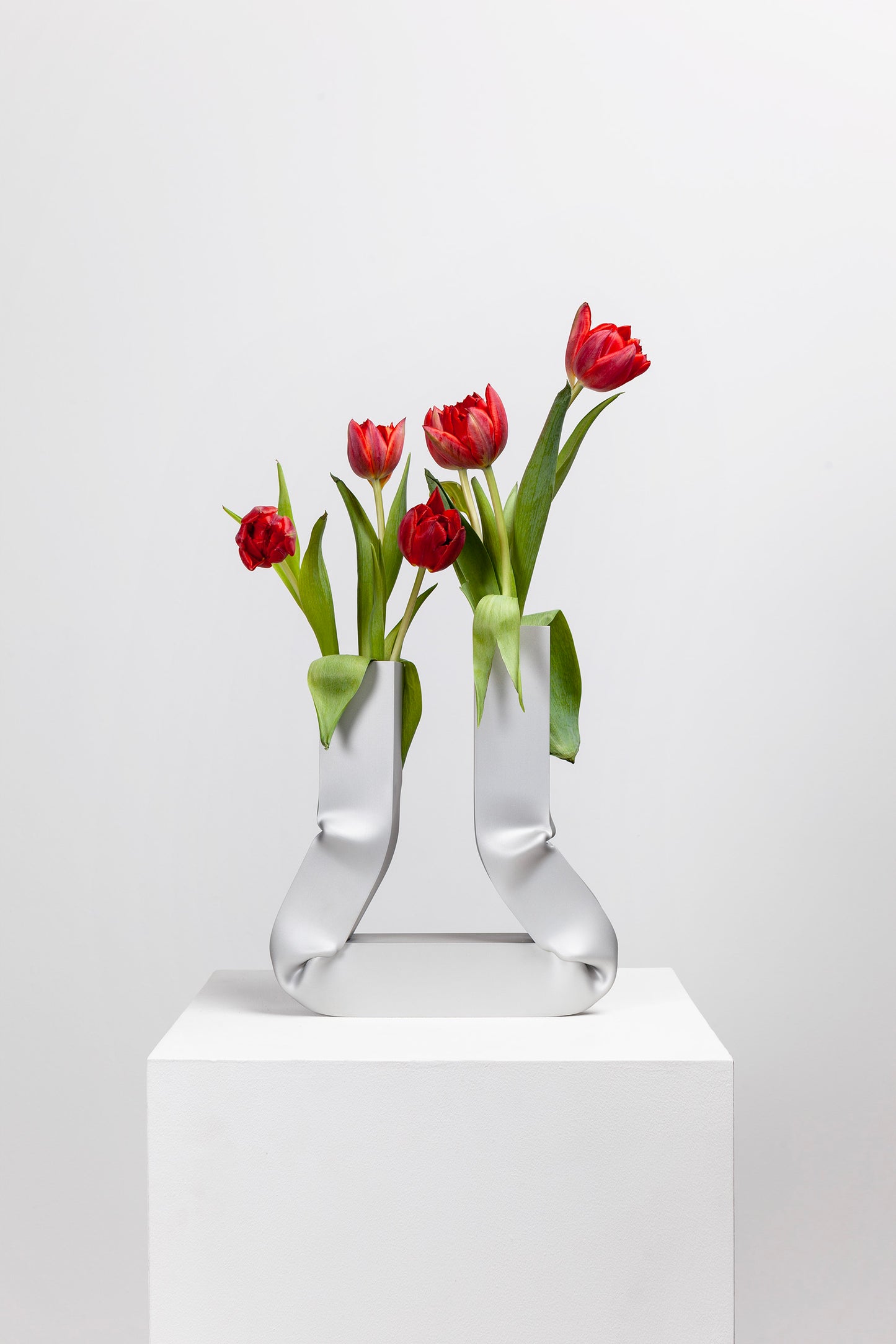Vasi vase (anodized)