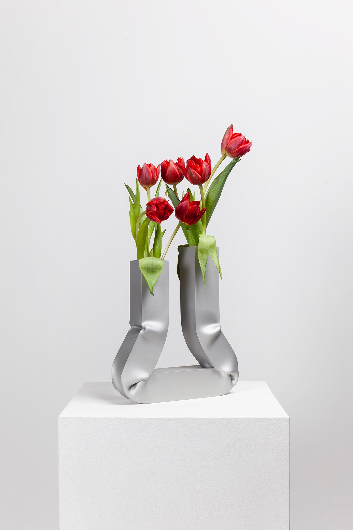 Vasi vase (anodized)