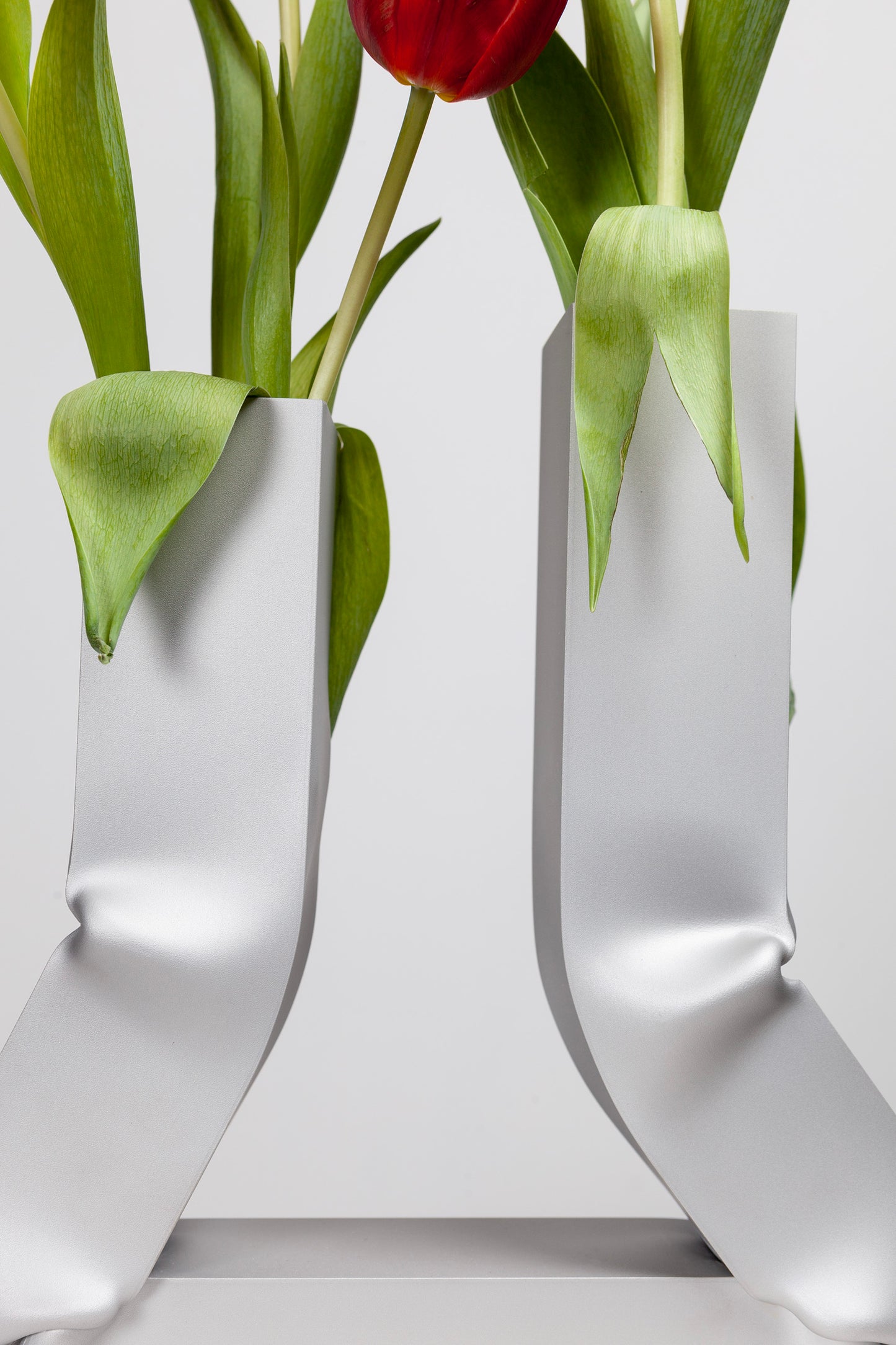 Vasi vase (anodized)