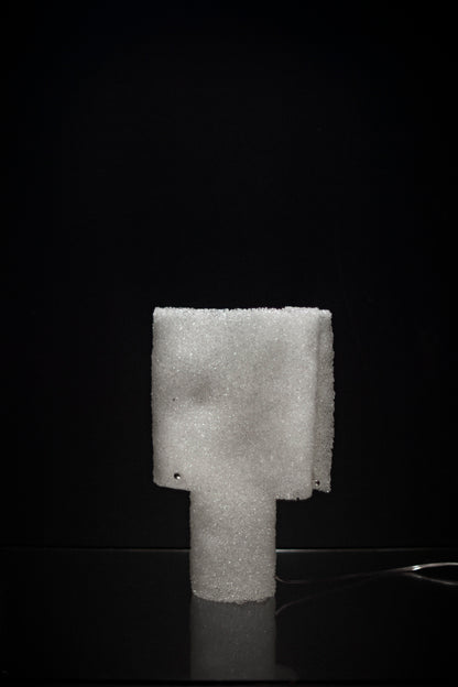 F46-02 LAMP (ONE-OF-A-KIND)