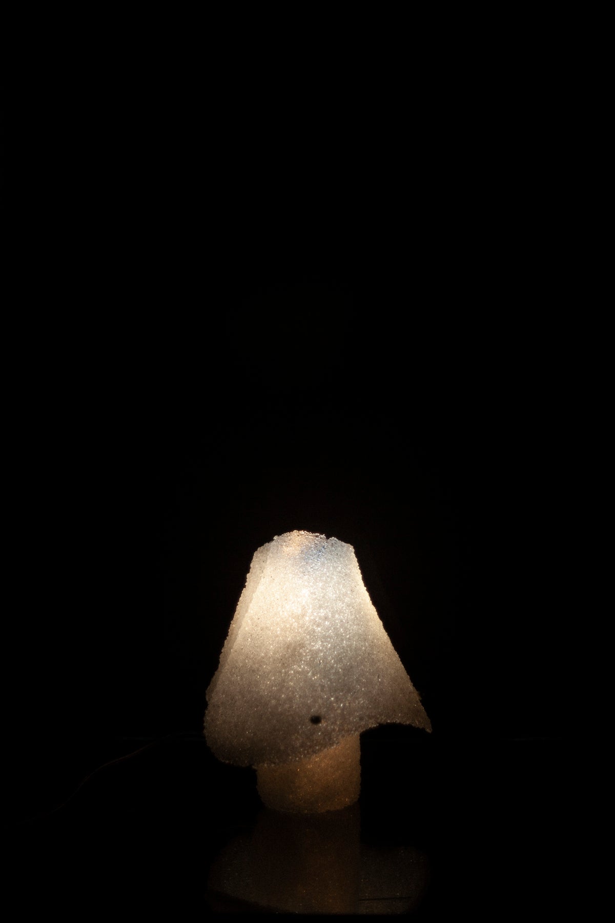 F46-09 LAMP (ONE-OF-A-KIND)