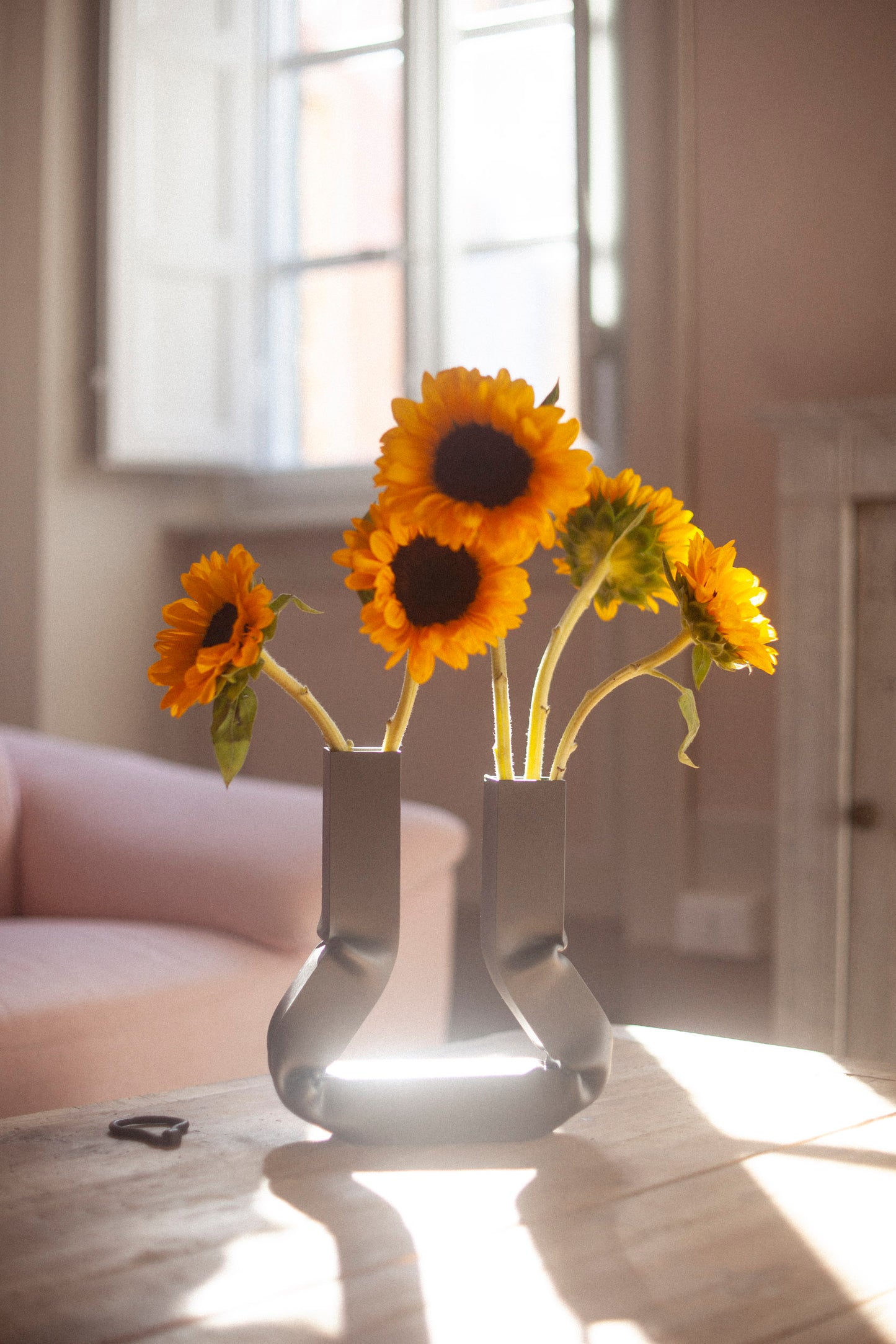 Vasi vase (Dark aluminium)