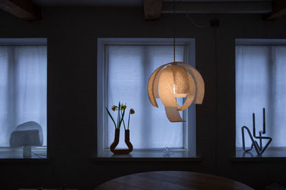F46-21 PENDANT LAMP
