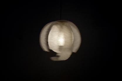 F46-21 PENDANT LAMP